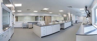 history over the past 4 years-Now ITS 2025! image