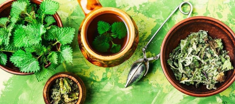 Melbourne Naturopath: Way to Heal Yourself Naturally