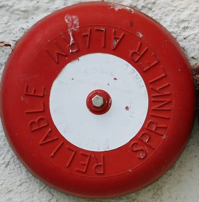 Which Treasures Found With a Metal Detector?