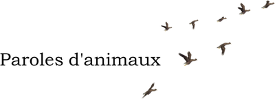 Paroles d'animaux