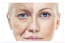 Powerful Antiaging Skin-Care Ingredients You Should Know