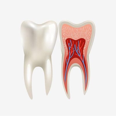 Root Canal Treatment - An Effective Means of Saving Infected Teeth
