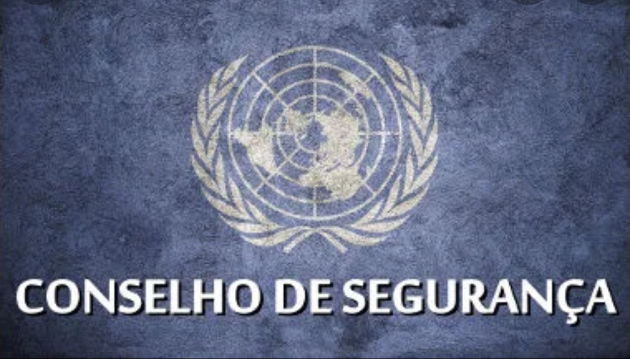 COMO SURGIU A ONU E A QUEM ELA SERVE ?