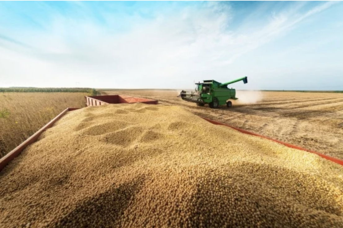 Estudos mostram  que umas das causa da fome e crise energética no Brasil e resultado do Agronegócios