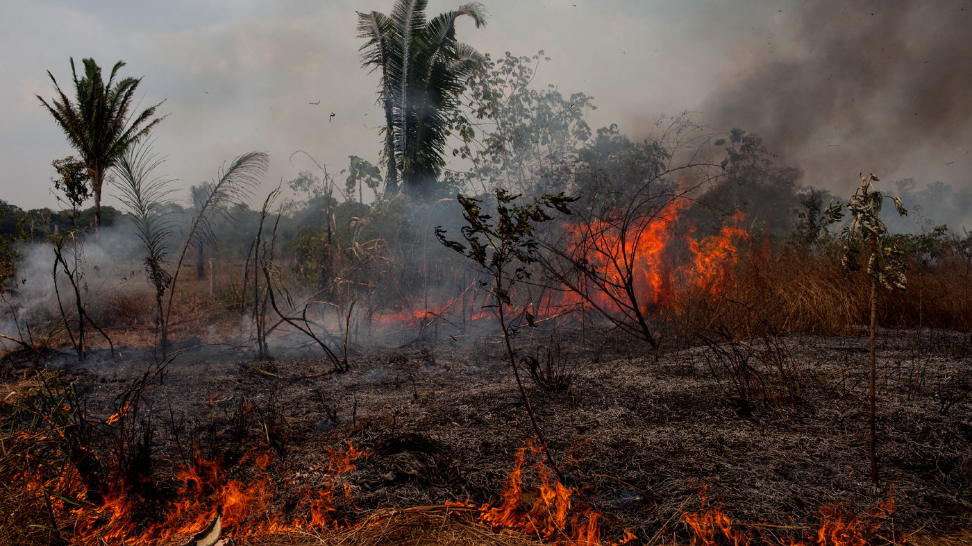 AMAZONAS CONTINUA QUEIMANDO NADA ACONTECE O FOCO E AS ELEICOES O PODER A GANANCIA E GOVERNO ESPERA O FIM DA COP26 PARA SOLTAR DADOS DOS DESMATAMENTO