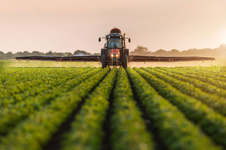 Preço dos alimentos atinge valor mais alto em 10 anos,