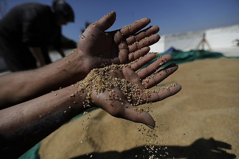 A MENTIRA QUE ROLA POR AI O agronegócio brasileiro pode aproveitar 'vazio' deixado por Rússia e Ucrânia MENTIRA