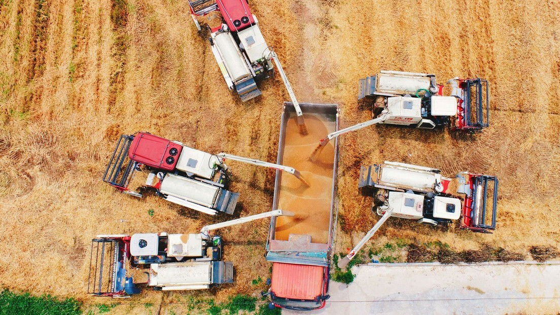 A ONU alerta que a atual crise alimentar pode levar a uma catástrofe global em 2023