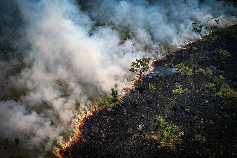 AMAZONIA GRITA EM AGONIA AS QUEIMADAS CONTINUAM FORTE