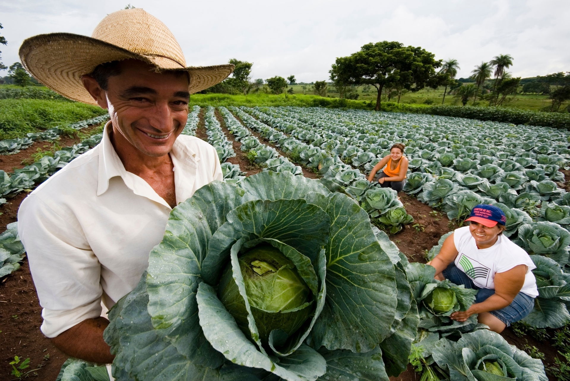 Consórcio Nordeste e China firmam acordo para beneficiar agricultura familiar