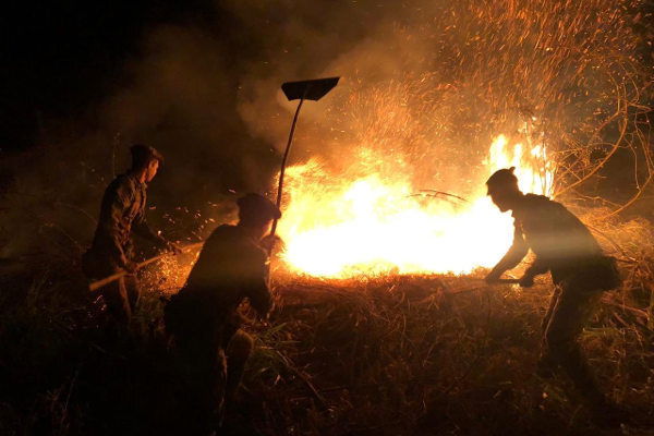 Queimadas destruíram área equivalente ao Acre em 2022; aumento em florestas foi de 93%