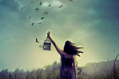 DEMOCRACIA E LIBERDADE CONTRAVERSIA