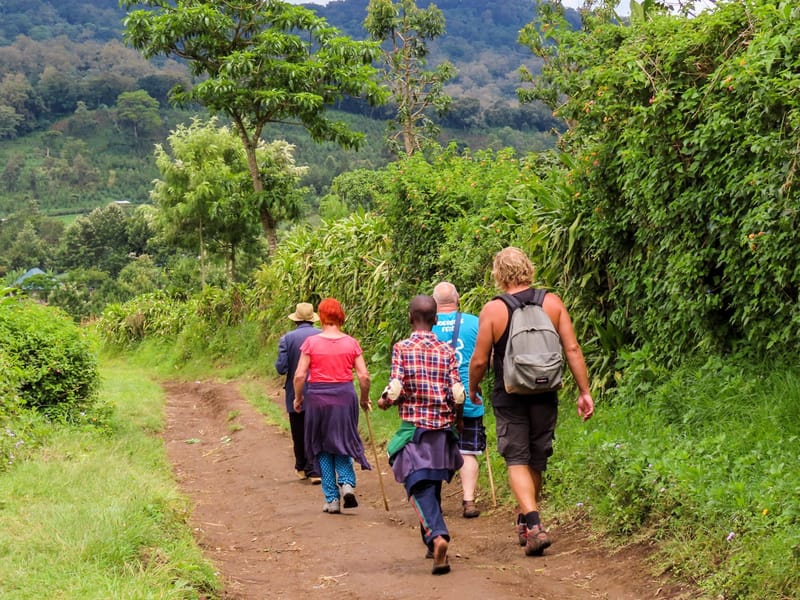 Walking Safari