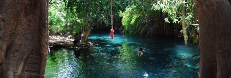 Kikuletwa Maji Moto Hotsprings Tour
