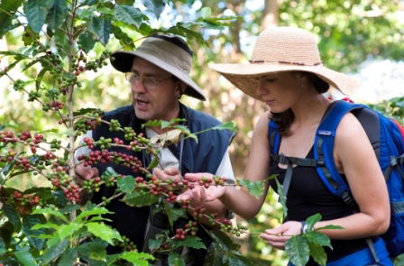 Coffee tour
