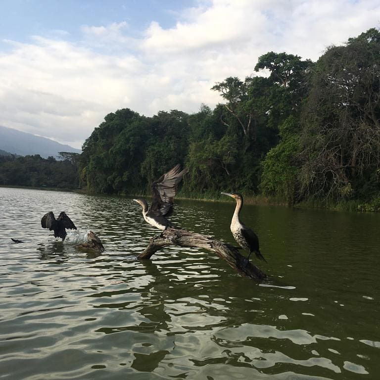 Lake Duluti Tour