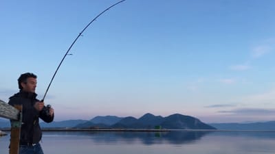 Bluefish Fishing in Mali Lošinj CROATIA