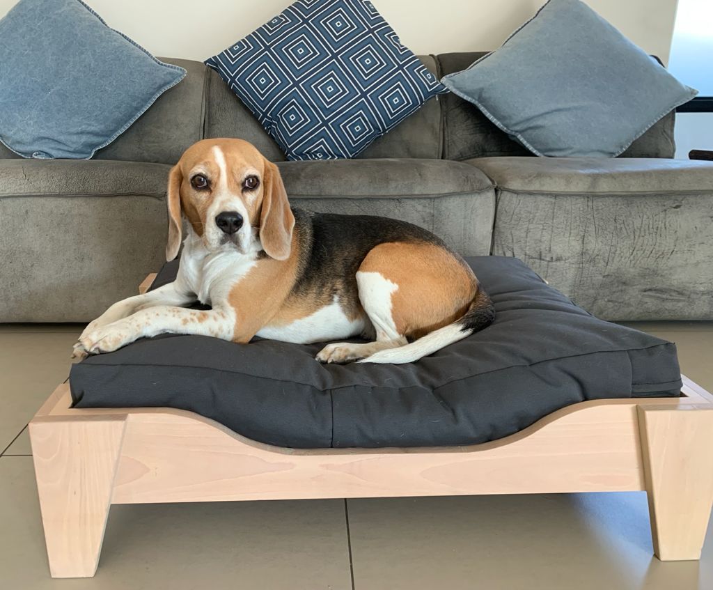 Bella Vita Dog Bed