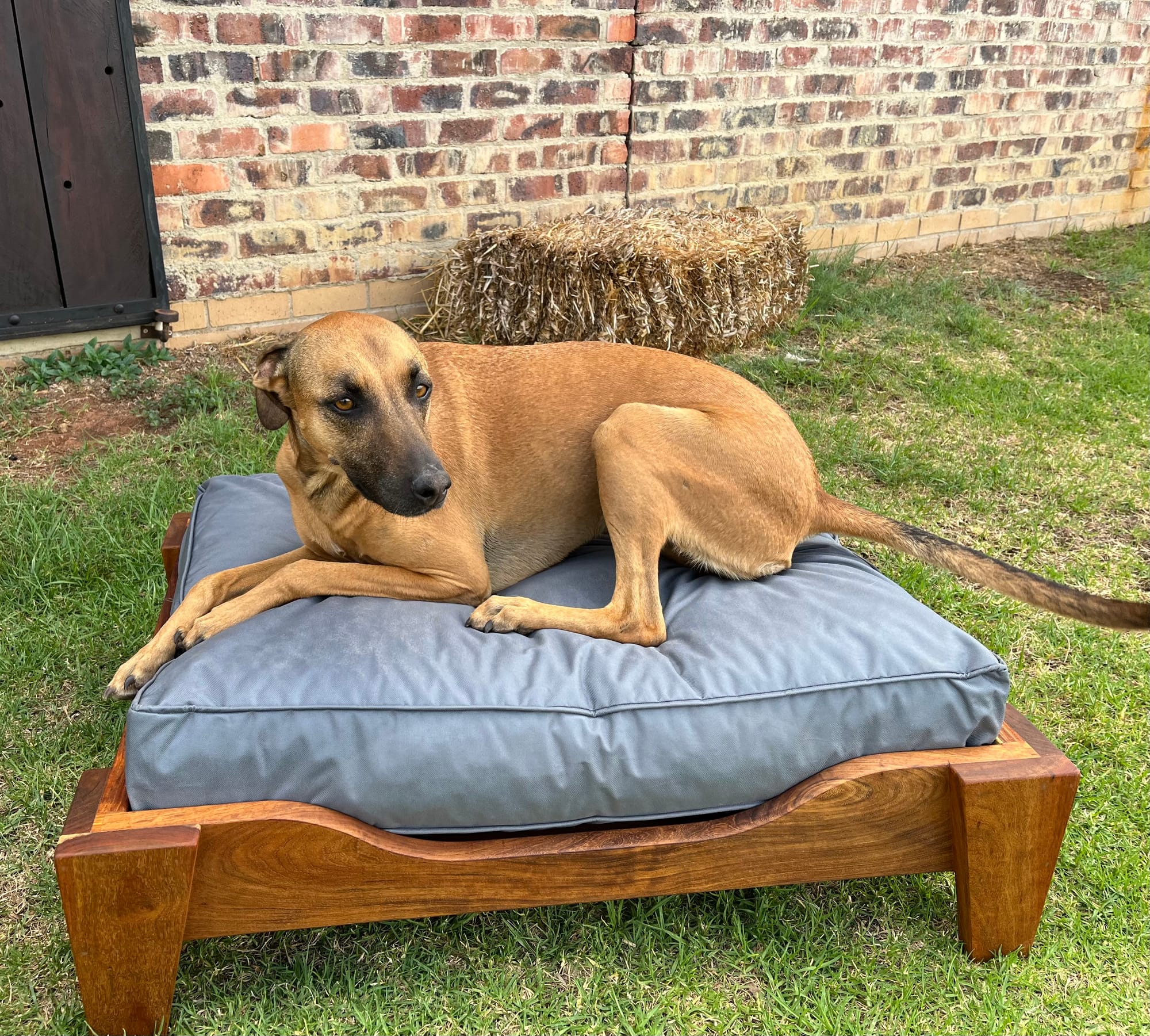 Bella Vita Dog Bed