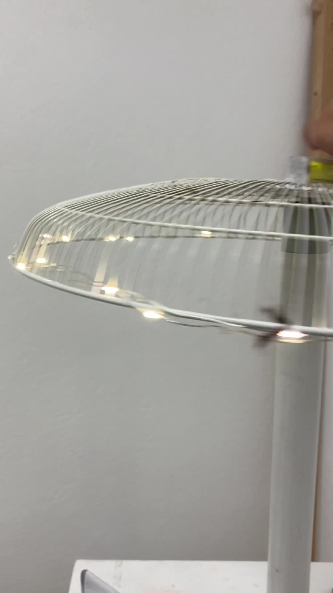 Supporting work 1 (Documentation)