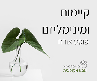 קיימות ומינימליזם-פוסט אורח מאת אפי