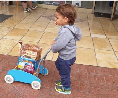 שלושה טיפים מנצחים לאקולוגיסט המתחיל