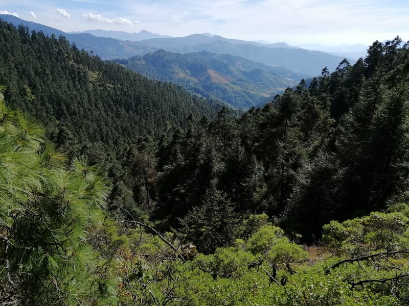 RESERVA DE LA MARIPOSA MONARCA