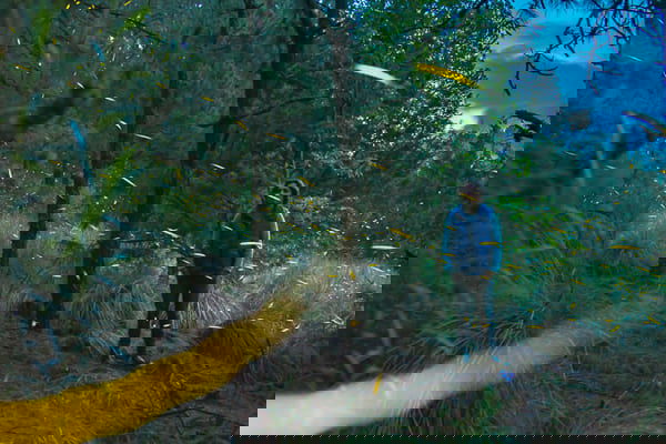 SANTUARIO DE LAS LUCIÉRNAGAS