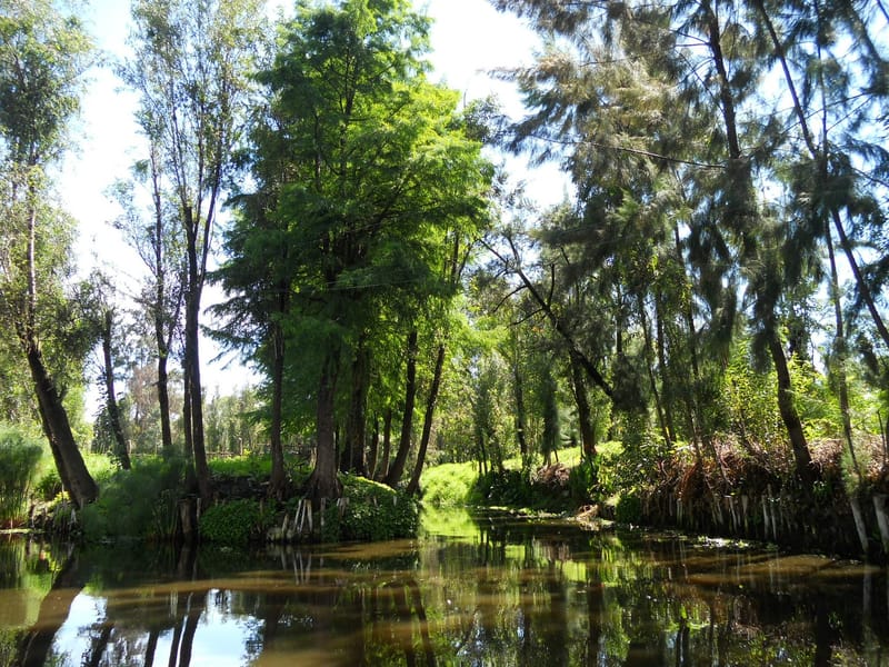 NATURALEZA EN XOCHIMILCO