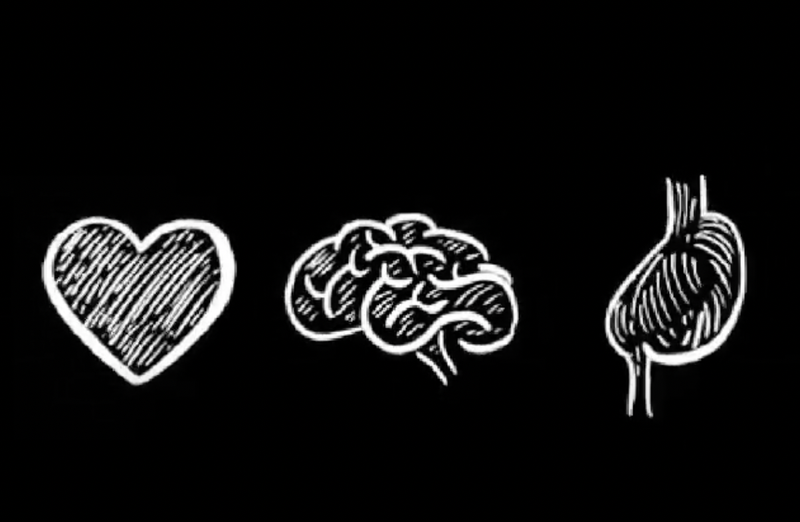 Los 3 cerebros del cuerpo