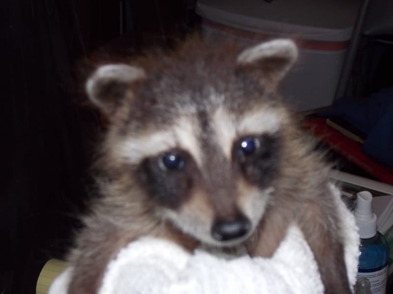 Winter is Hard, But Spring is Coming!