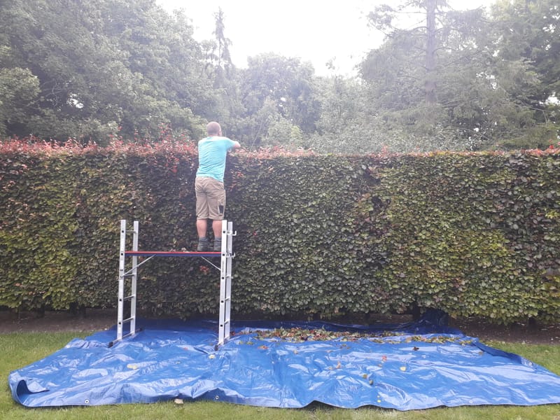 Garden Maintenance/ Clearance