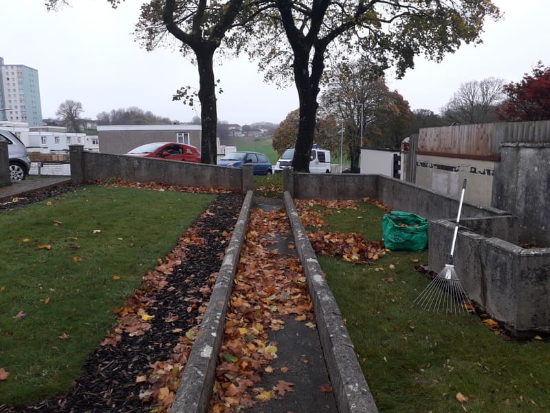 Autumn/ Winter leaf Clearance