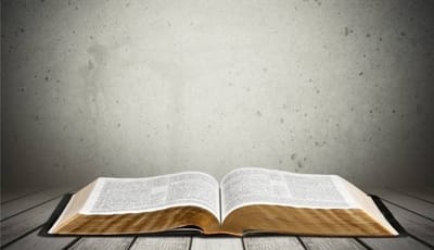 قراءات الجمعة من أسبوع النسبة