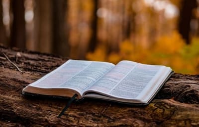 قراءات أحد الكهنة