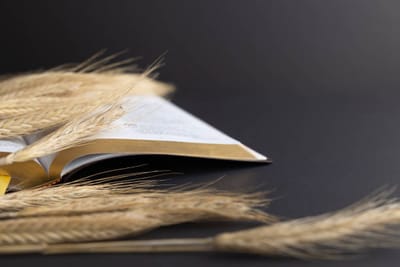 قراءات الإثنين من الأسبوع السابع من زمن العنصرة