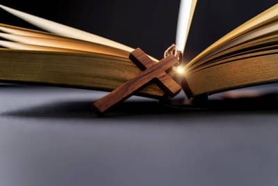 قراءات الأحد الخامس عشر للعنصرة