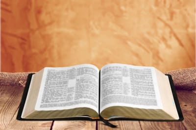 الفصل الخامس عشر  - مواعد الله وعهده - الآيات الثامنة عشر حتّى الحادية والعشرين