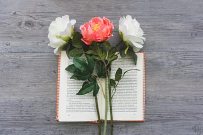 الفصل العشرون - إبراهيم في جَرار - الآيات الثالثة حتّى السابعة