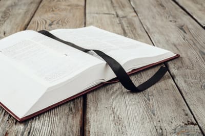 الفصل الثاني والعشرون - مُحرقة إبراهيم - الآية الثانية