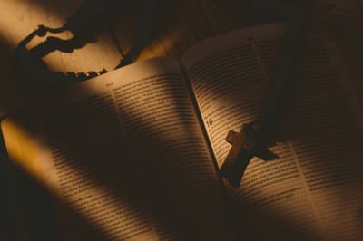 الفصل الثاني والعشرون - مُحرقة إبراهيم الآيات الثامنة حتّى العاشرة