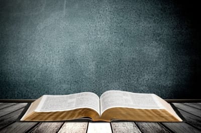 الفصل الثاني والعشرون - مُحرقة إبراهيم - الآيتان الثالثة عشر  والرابعة عشر