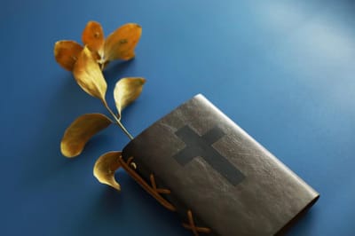 الفصل الرابع والعشرون - زواج إسحق - الآيات الثانية والعشرون حتّى  السابعة والعشرين