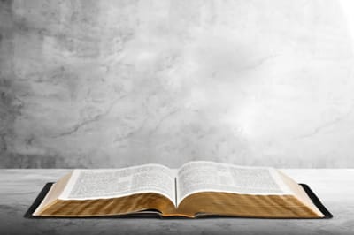 الفصل التاسع والعشرون - ذهاب يعقوب إلى لابان - الآيات التاسعة حتّى الرابعة  عشر