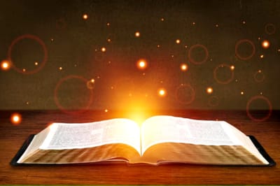 الفصل الثالث والثلاثون - لقاء يعقوب بعيسو - الآيات الثامنة حتّى السادسة عشر