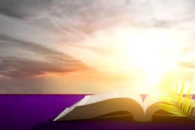 الفصل السادس والثلاثون - هِجرة عيسو - الآيات السادسة حتّى الثامنة