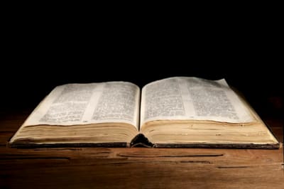 الفصل السادس والثلاثون - سُلالة عيسو في سعير - الآيات التاسعة حتّى التاسعة عشر