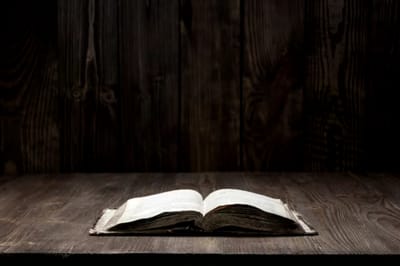 الفصل الحادي والأربعون - تفسير الحلمَين - الآيات السابعة عشر حتّى الثانية والثلاثون