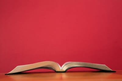 الفصل الخامس والأربعون - إسرائيل يسمع عن يوسف - الآيات الخامسة والعشرون حتّى الثامنة والعشرون