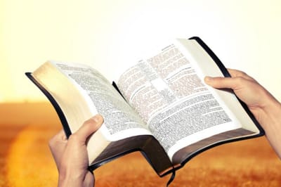 الفصل الخامس والأربعون - أمر الله ليعقوب بالنزول إلى  مصر - الآيات الخامسة حتى الآية  السابعة